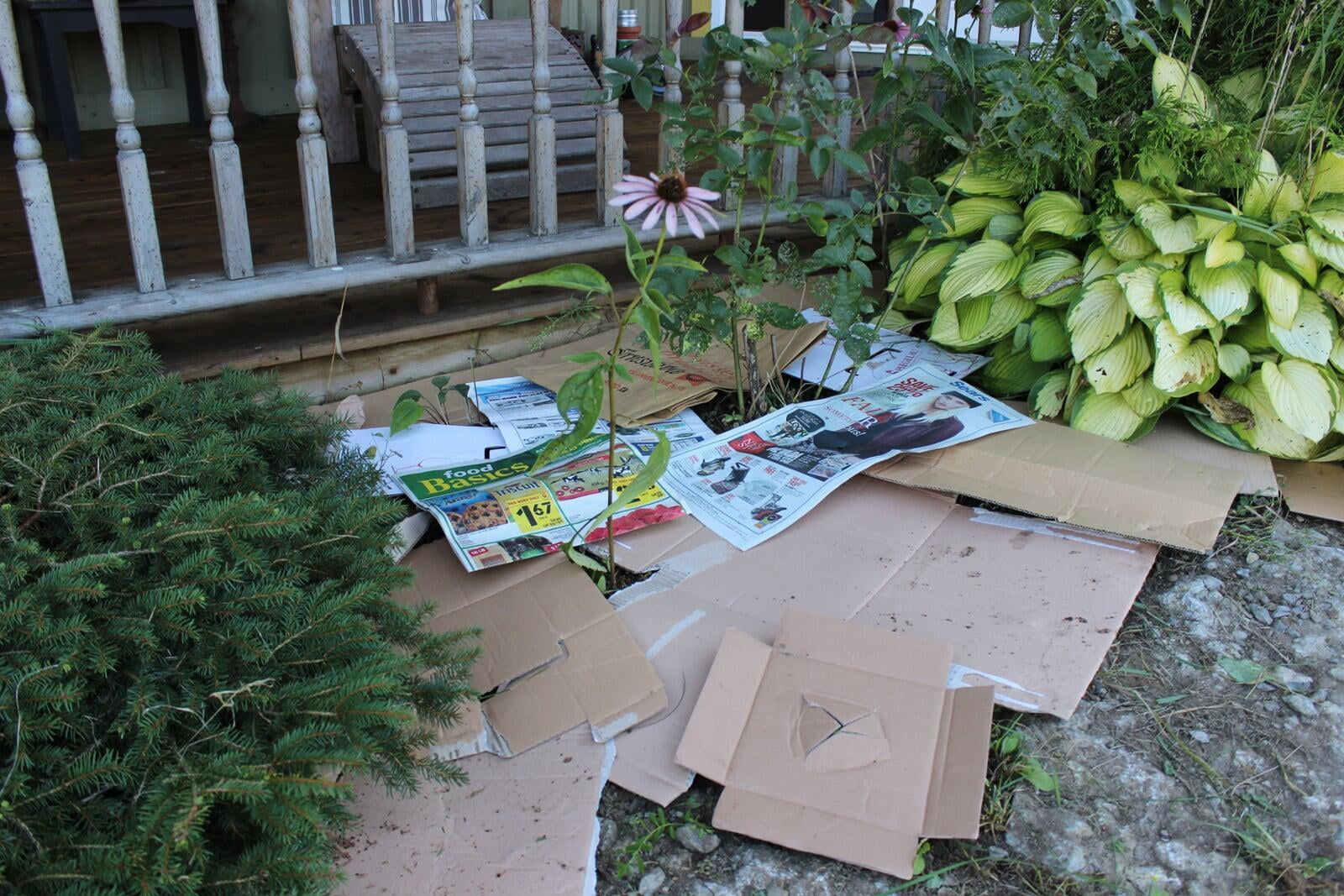 Organic Weed Barrier Solution! Carsons Garden and Market